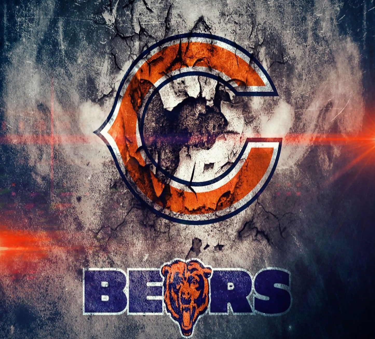 Bears